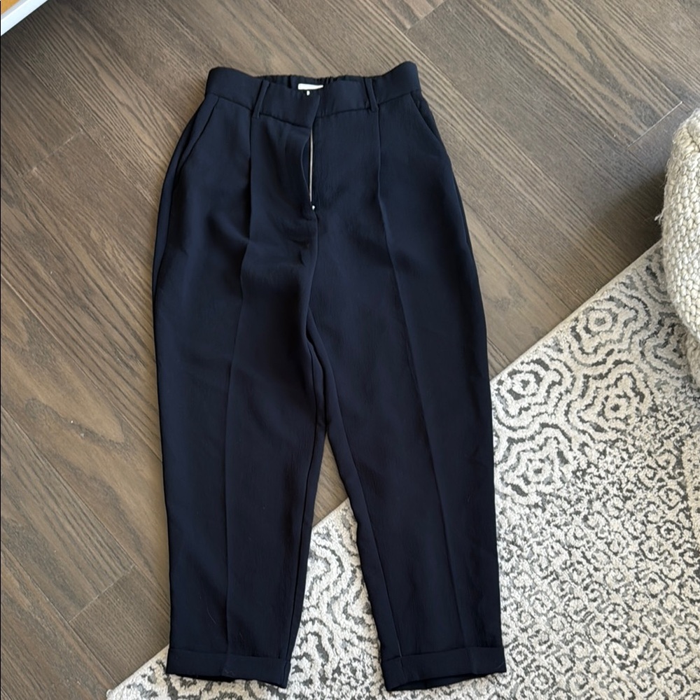 Aritzia Black Ankle Pants